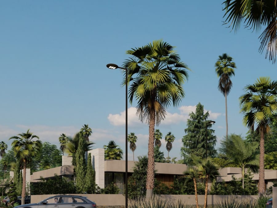 Vue de synthèse communiquée : voie intérieure plantée de palmiers, le long des villas.